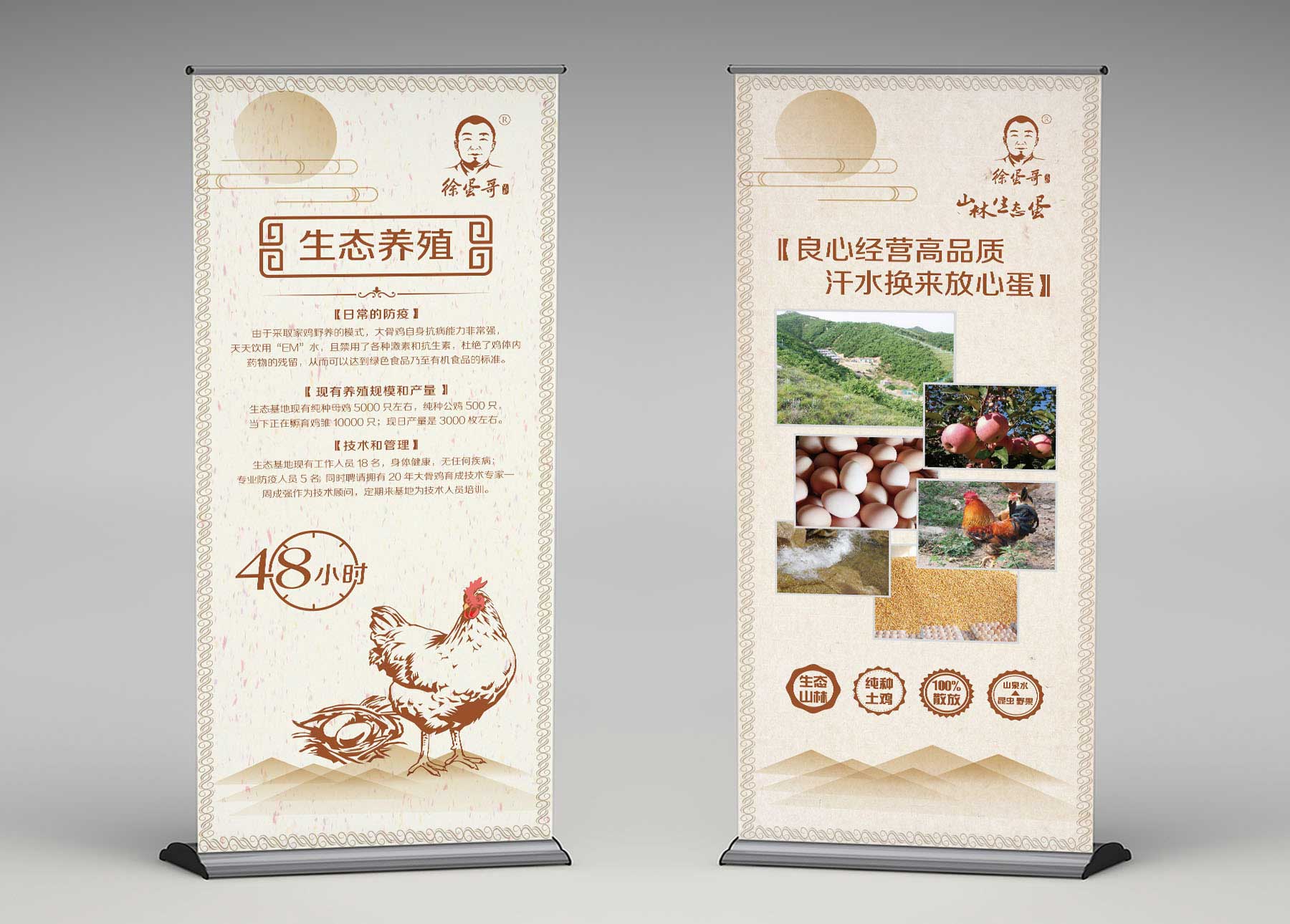 徐蛋哥宣傳展架